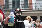 Mystic-Krewe-of-Barkus-JR-2011-0176