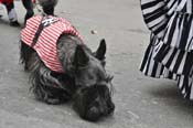 Mystic-Krewe-of-Barkus-JR-2011-0179