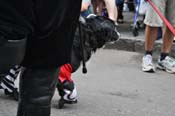 Mystic-Krewe-of-Barkus-JR-2011-0180