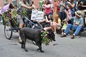 Mystic-Krewe-of-Barkus-JR-2011-0186