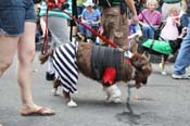 Mystic-Krewe-of-Barkus-JR-2011-0210