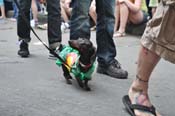 Mystic-Krewe-of-Barkus-JR-2011-0212