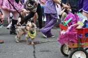 Mystic-Krewe-of-Barkus-JR-2011-0216