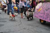 Mystic-Krewe-of-Barkus-JR-2011-0217