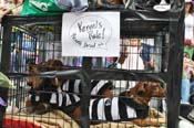 Mystic-Krewe-of-Barkus-JR-2011-0230