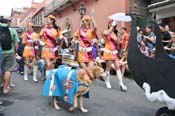 Mystic-Krewe-of-Barkus-JR-2011-0235