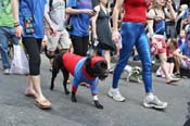 Mystic-Krewe-of-Barkus-JR-2011-0237