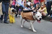 Mystic-Krewe-of-Barkus-JR-2011-0242