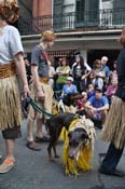 Mystic-Krewe-of-Barkus-JR-2011-0244