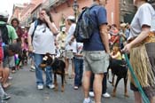 Mystic-Krewe-of-Barkus-JR-2011-0245