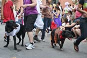 Mystic-Krewe-of-Barkus-JR-2011-0247