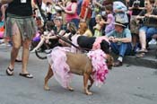 Mystic-Krewe-of-Barkus-JR-2011-0248