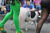 Mystic-Krewe-of-Barkus-JR-2011-0256