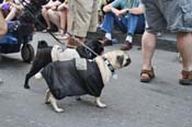 Mystic-Krewe-of-Barkus-JR-2011-0257