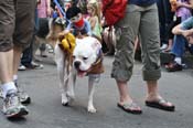 Mystic-Krewe-of-Barkus-JR-2011-0258