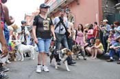 Mystic-Krewe-of-Barkus-JR-2011-0260