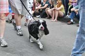 Mystic-Krewe-of-Barkus-JR-2011-0263