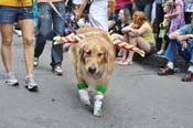 Mystic-Krewe-of-Barkus-JR-2011-0267