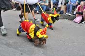 Mystic-Krewe-of-Barkus-JR-2011-0269