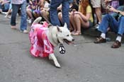 Mystic-Krewe-of-Barkus-JR-2011-0273