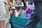 Mystic-Krewe-of-Barkus-JR-2011-0277