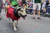 Mystic-Krewe-of-Barkus-JR-2011-0279