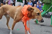 Mystic-Krewe-of-Barkus-JR-2011-0280