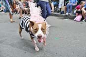 Mystic-Krewe-of-Barkus-JR-2011-0281