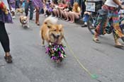 Mystic-Krewe-of-Barkus-JR-2011-0285