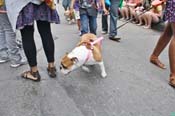 Mystic-Krewe-of-Barkus-JR-2011-0286