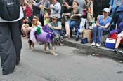 Mystic-Krewe-of-Barkus-JR-2011-0289