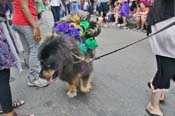 Mystic-Krewe-of-Barkus-JR-2011-0292