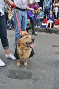 Mystic-Krewe-of-Barkus-JR-2011-0294