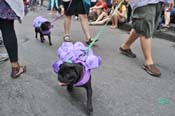 Mystic-Krewe-of-Barkus-JR-2011-0296