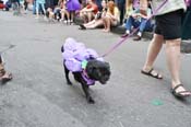 Mystic-Krewe-of-Barkus-JR-2011-0297