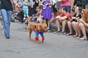 Mystic-Krewe-of-Barkus-JR-2011-0301