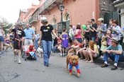 Mystic-Krewe-of-Barkus-JR-2011-0302