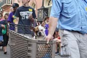 Mystic-Krewe-of-Barkus-JR-2011-0303