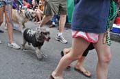 Mystic-Krewe-of-Barkus-JR-2011-0304