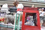 Mystic-Krewe-of-Barkus-JR-2011-0310