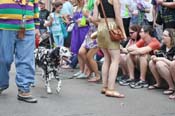 Mystic-Krewe-of-Barkus-JR-2011-0311