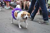 Mystic-Krewe-of-Barkus-JR-2011-0315