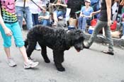 Mystic-Krewe-of-Barkus-JR-2011-0317