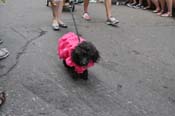 Mystic-Krewe-of-Barkus-JR-2011-0322