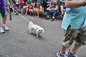 Mystic-Krewe-of-Barkus-JR-2011-0328