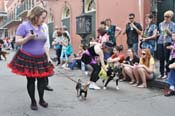 Mystic-Krewe-of-Barkus-JR-2011-0334