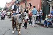 Mystic-Krewe-of-Barkus-JR-2011-0335