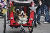 Mystic-Krewe-of-Barkus-JR-2011-0338