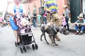 Mystic-Krewe-of-Barkus-JR-2011-0340