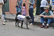 Mystic-Krewe-of-Barkus-JR-2011-0342